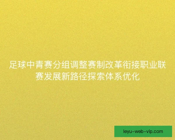足球中青赛分组调整赛制改革衔接职业联赛发展新路径探索体系优化
